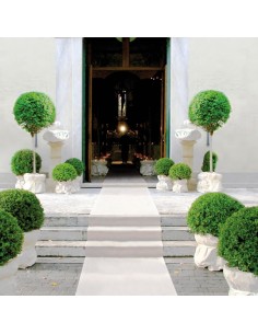 Magic Passatoia al metro per Eventi, Cerimonie nuziale,... 2