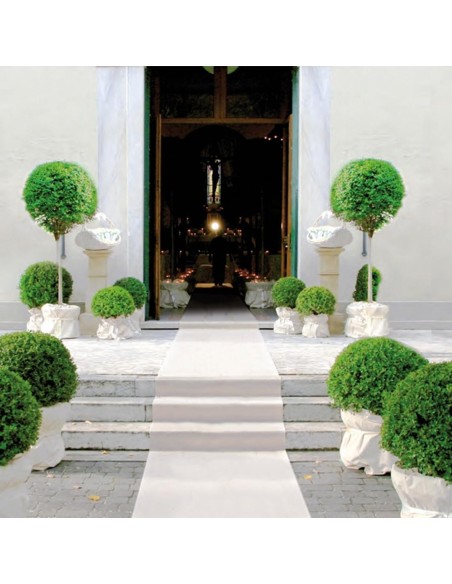 Magic Passatoia al metro per Eventi, Cerimonie nuziale, Larga 1 mt